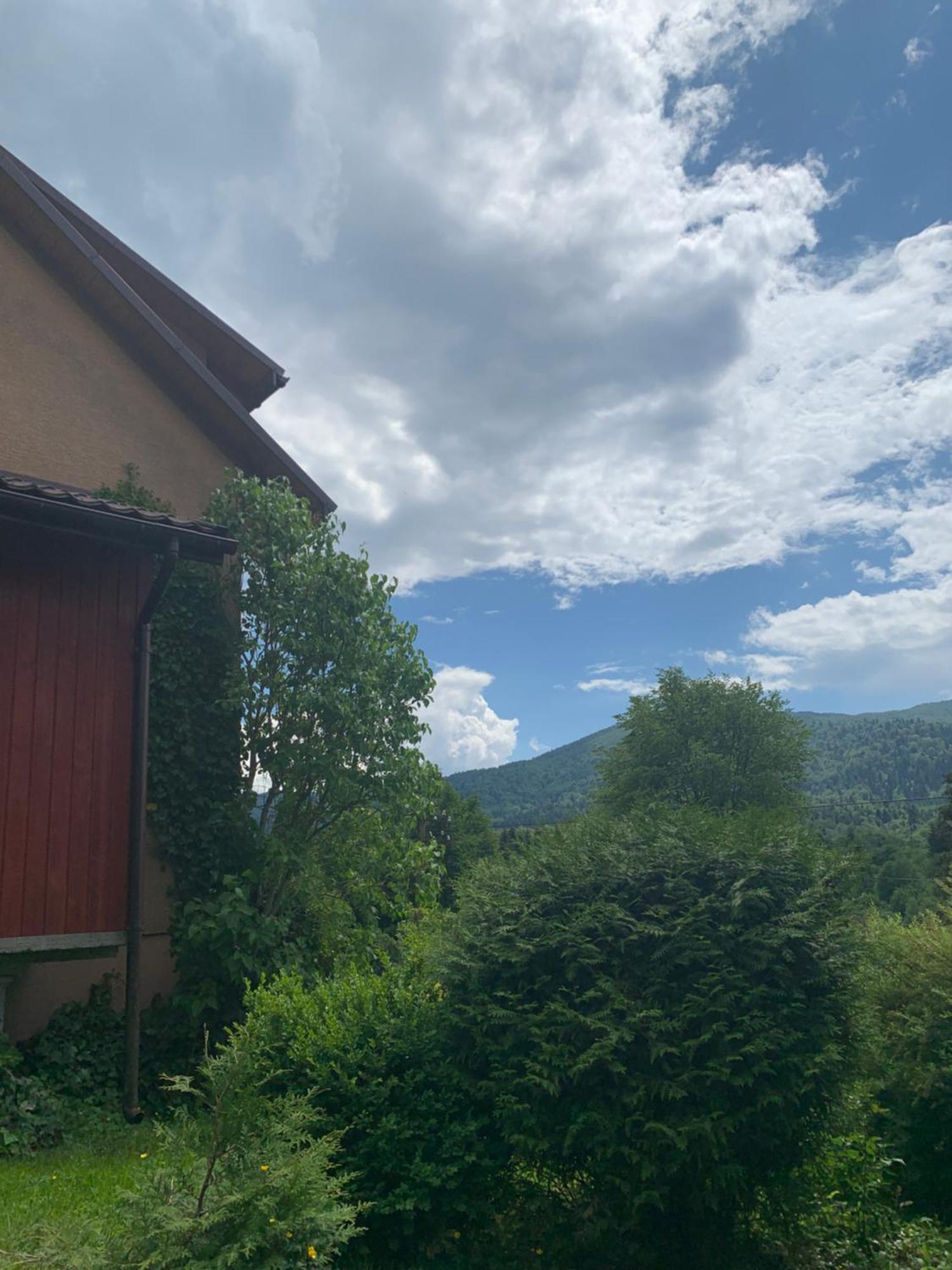 Zakrzywek Wyjatkowy Apartament W Krzywe K/Cisnej Cisna Buitenkant foto